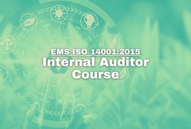 EMS Internal Auditor