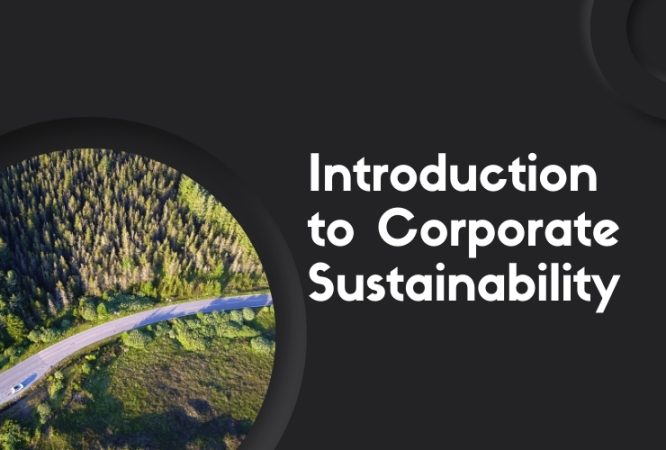 Introduction to Corporate Sustainability