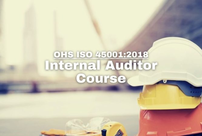 OHS Internal Auditor